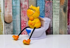 Toilet Drains vs Floor Drains: Key Differences Every Denver Homeowner Should Know Toilet Drains vs Floor Drains: Key Differences Every Denver Homeowner Should Know