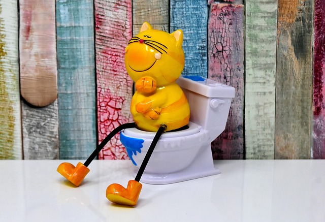 Toilet Drains vs Floor Drains: Key Differences Every Denver Homeowner Should Know