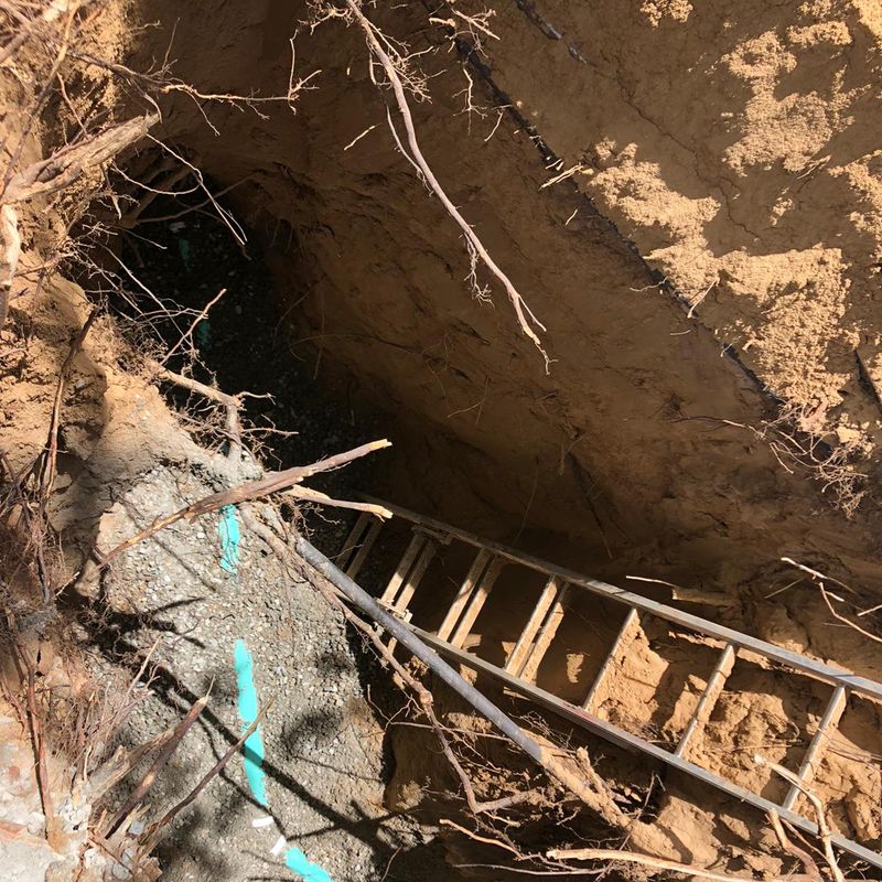 Tree roots wrapped around a sewer line exposed in a Denver yard