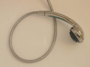 Shower head, have a shower, nature, shower